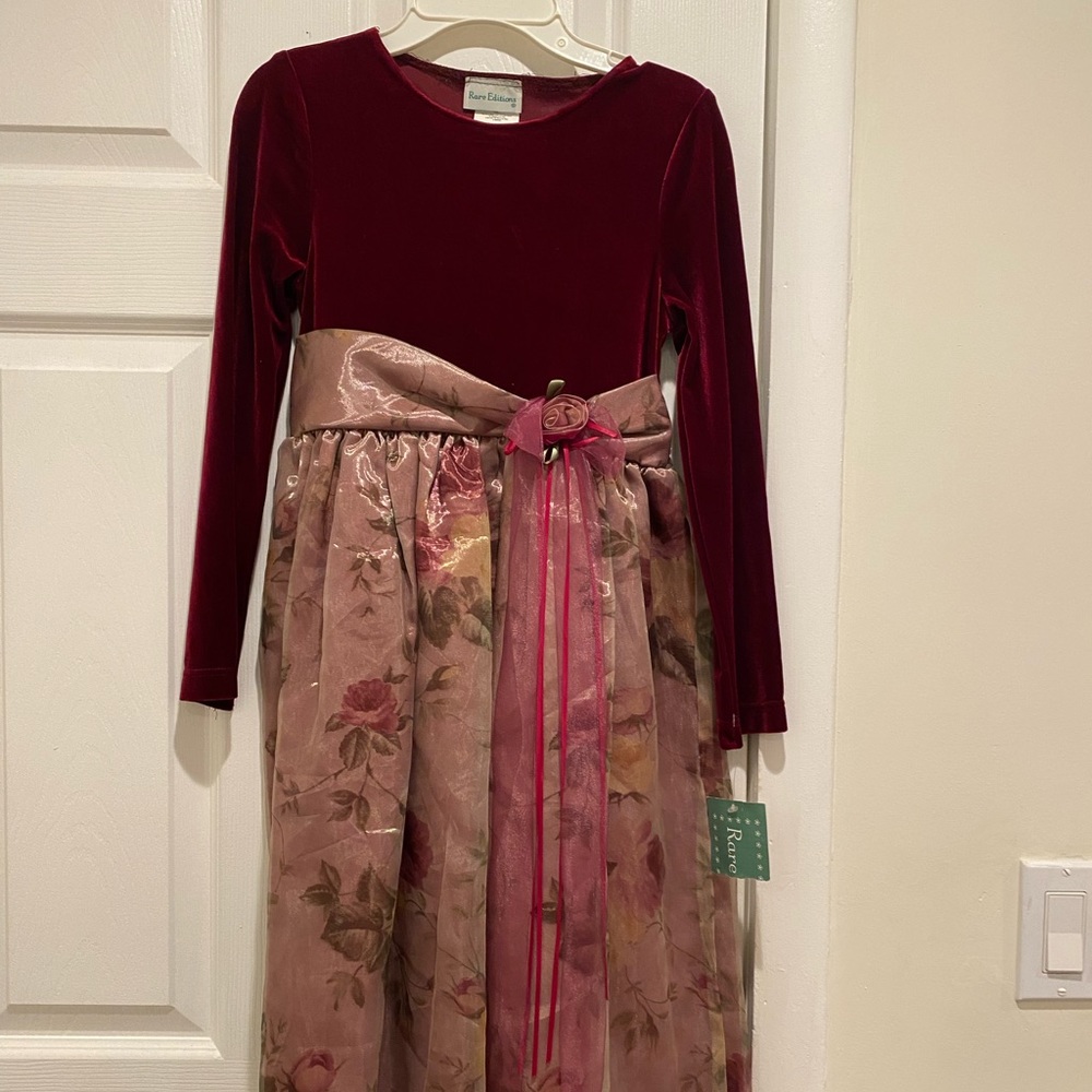 Rare Editions Velvet Dress